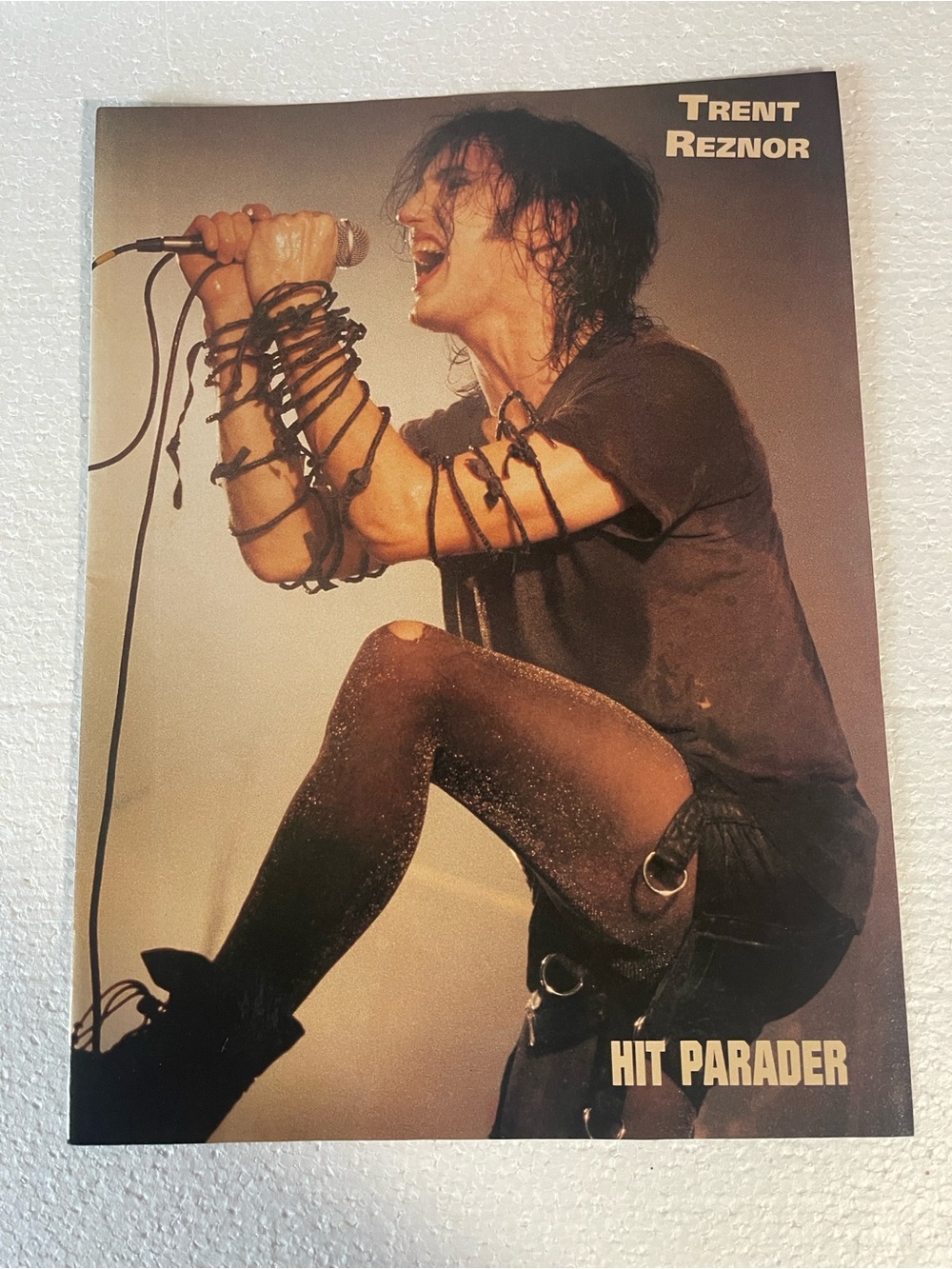 Trent Reznor Hit Parader Pinup - Black & Brown Tones